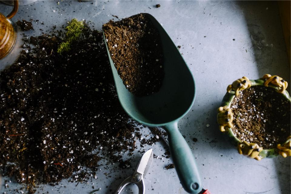 Organic fertilizer