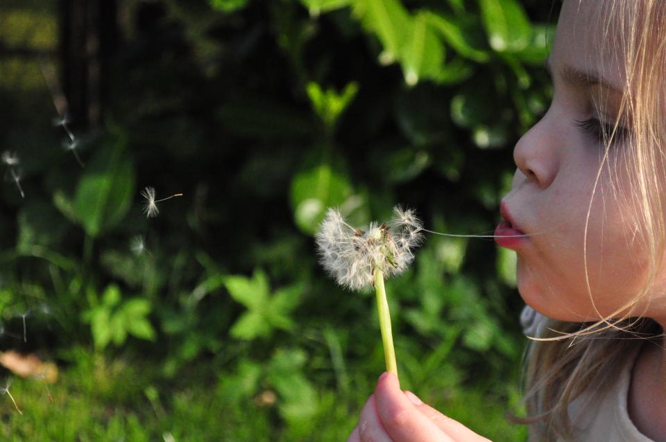 Garden weeds