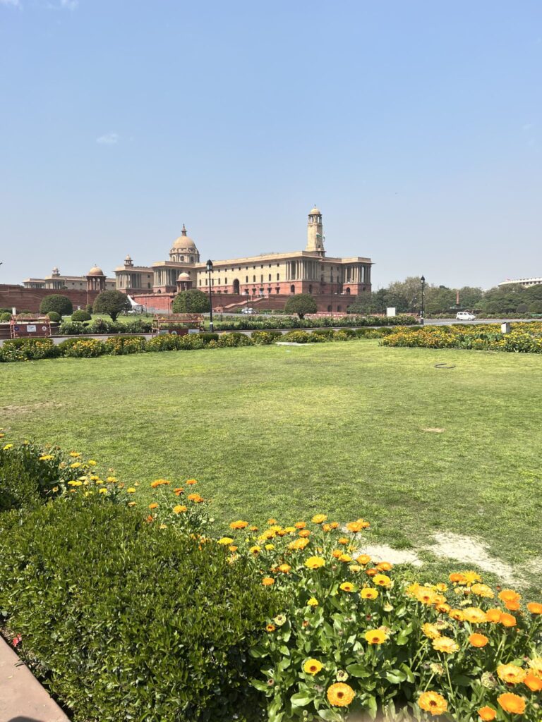 A healthy green organic lawn