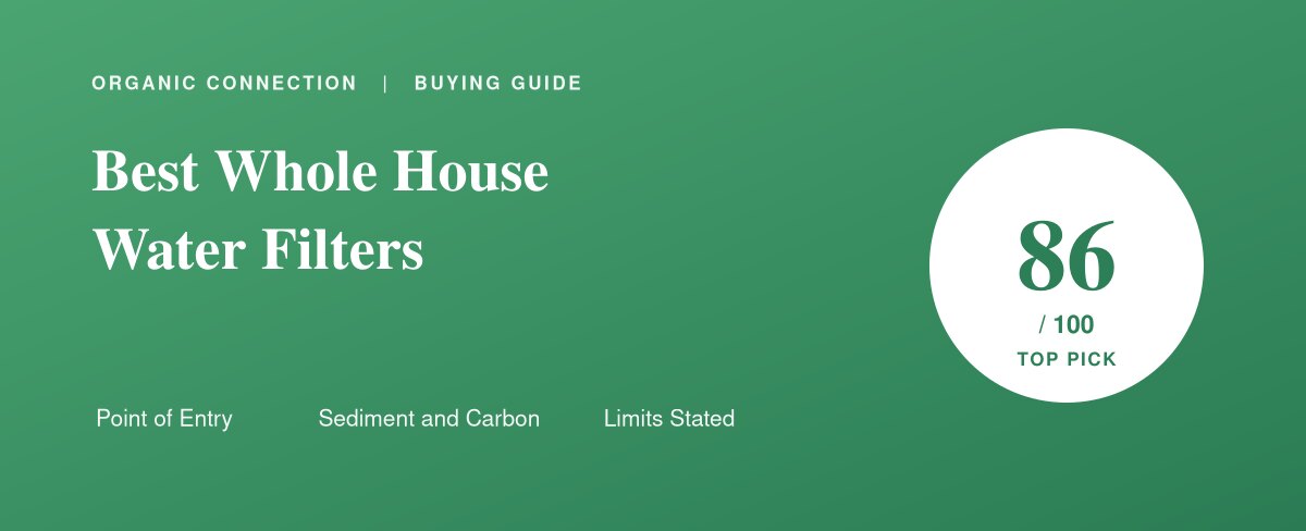 Whole house water filter system